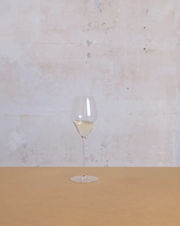Så känner du igen en Sauvignon Blanc